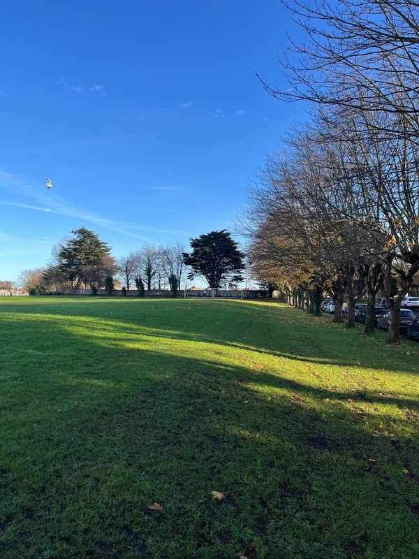 MARINO INSTITUTE OF EDUCATION  - DUBLINO -  MARINO ISTITUTE OF EDUCATION